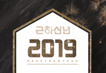 2019년 하이맨비뇨기과 새해인사